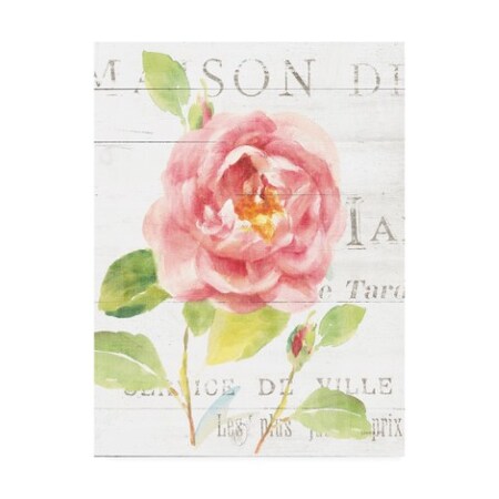 Trademark Fine Art Danhui Nai 'Maison Des Fleurs V' Canvas Art, 14x19 WAP10173-C1419GG